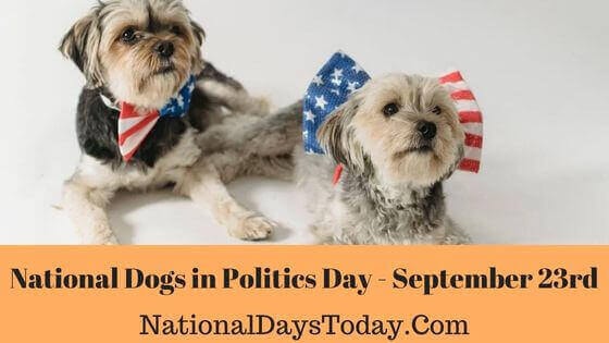 Two Yorkies wearing American flag bow ties celebrating National Dogs in Politics Day on September 23rd